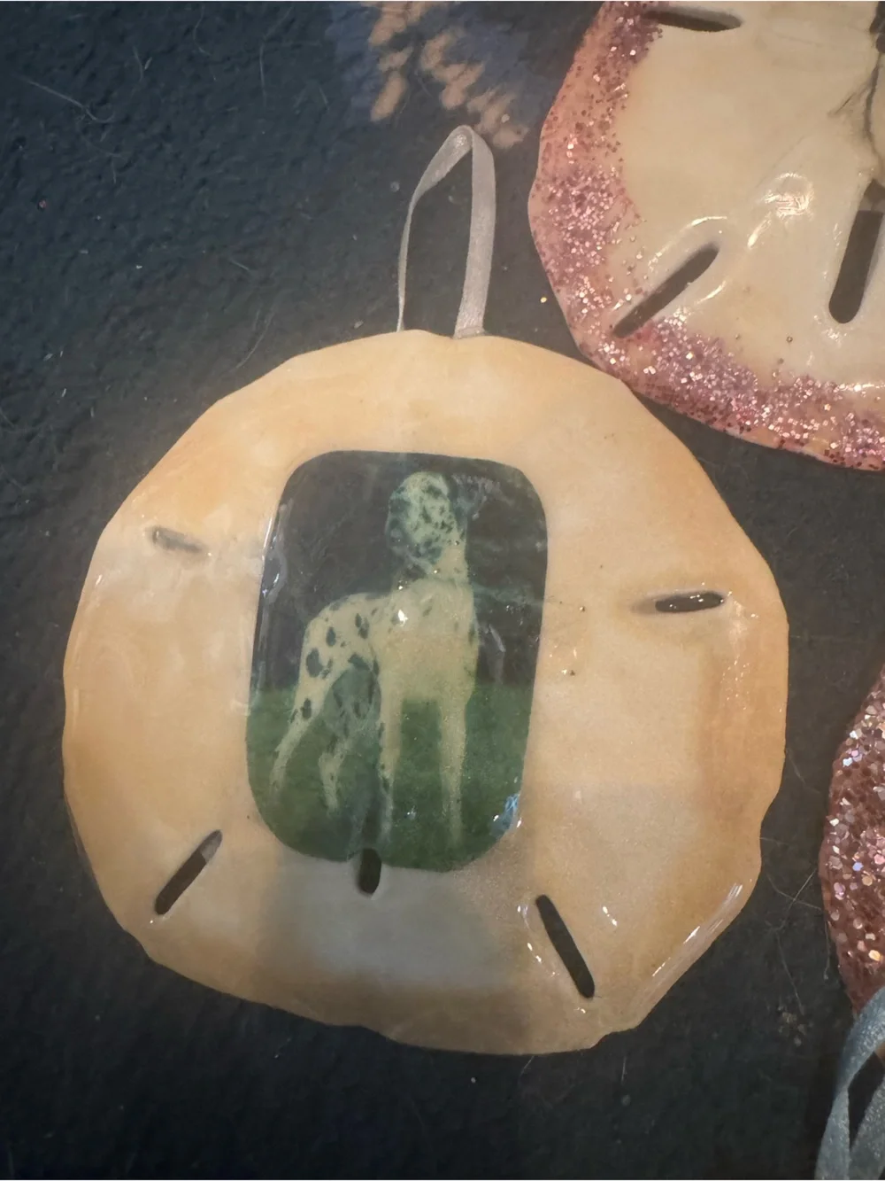 Handmade real Sand Dollar ornaments Hanging Set - Cream and Brown